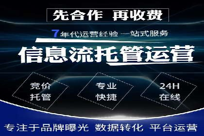 案例分析：SEM广告助力旅游行业增长
